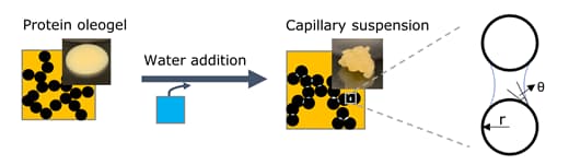 schematic showing capillary suspention